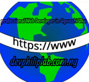 Leading professional Web Developers and Agencies in Ogwashi Uku